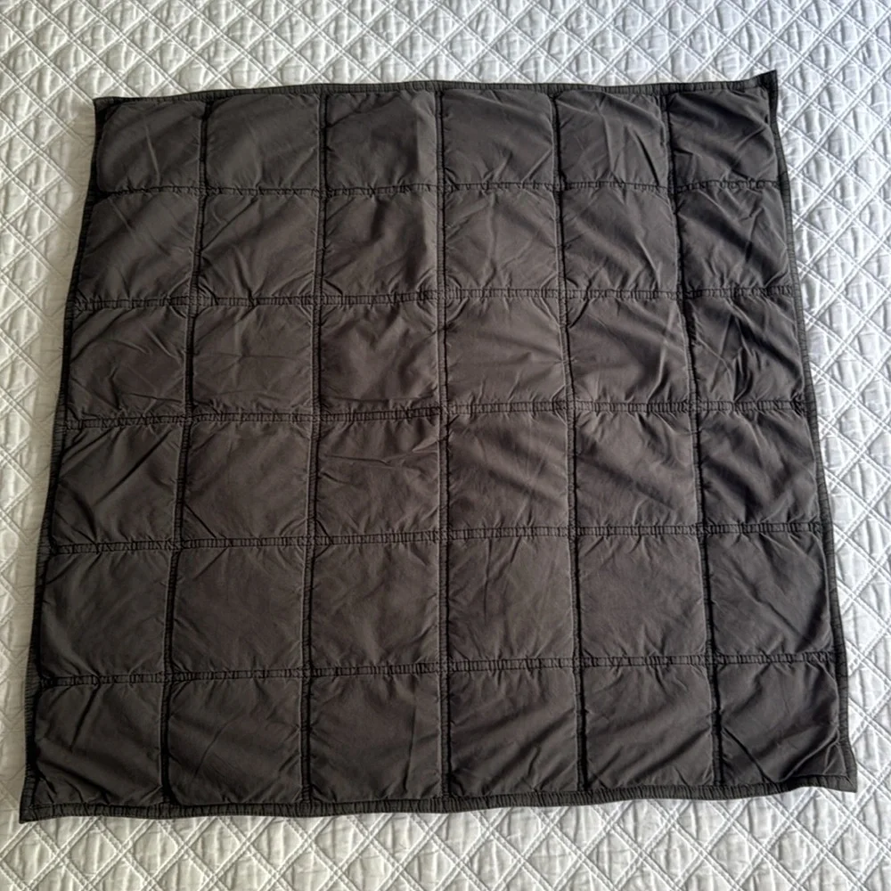 West Elm Pillow Euro Shams
